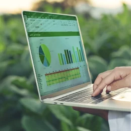 Excel para empresas agropecuarias